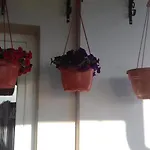 Apartment Katica *