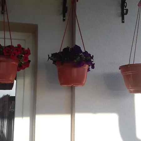 Apartment Katica *