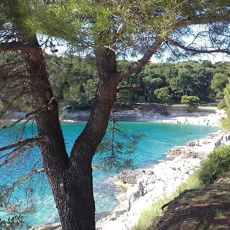 Katica * Pula