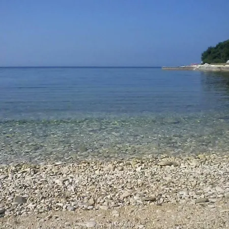 Katica * Pula